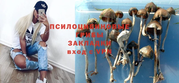 наркотики Карпинск