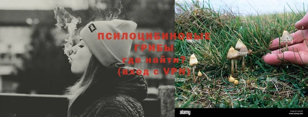 наркотики Карпинск